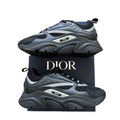 Dior B22